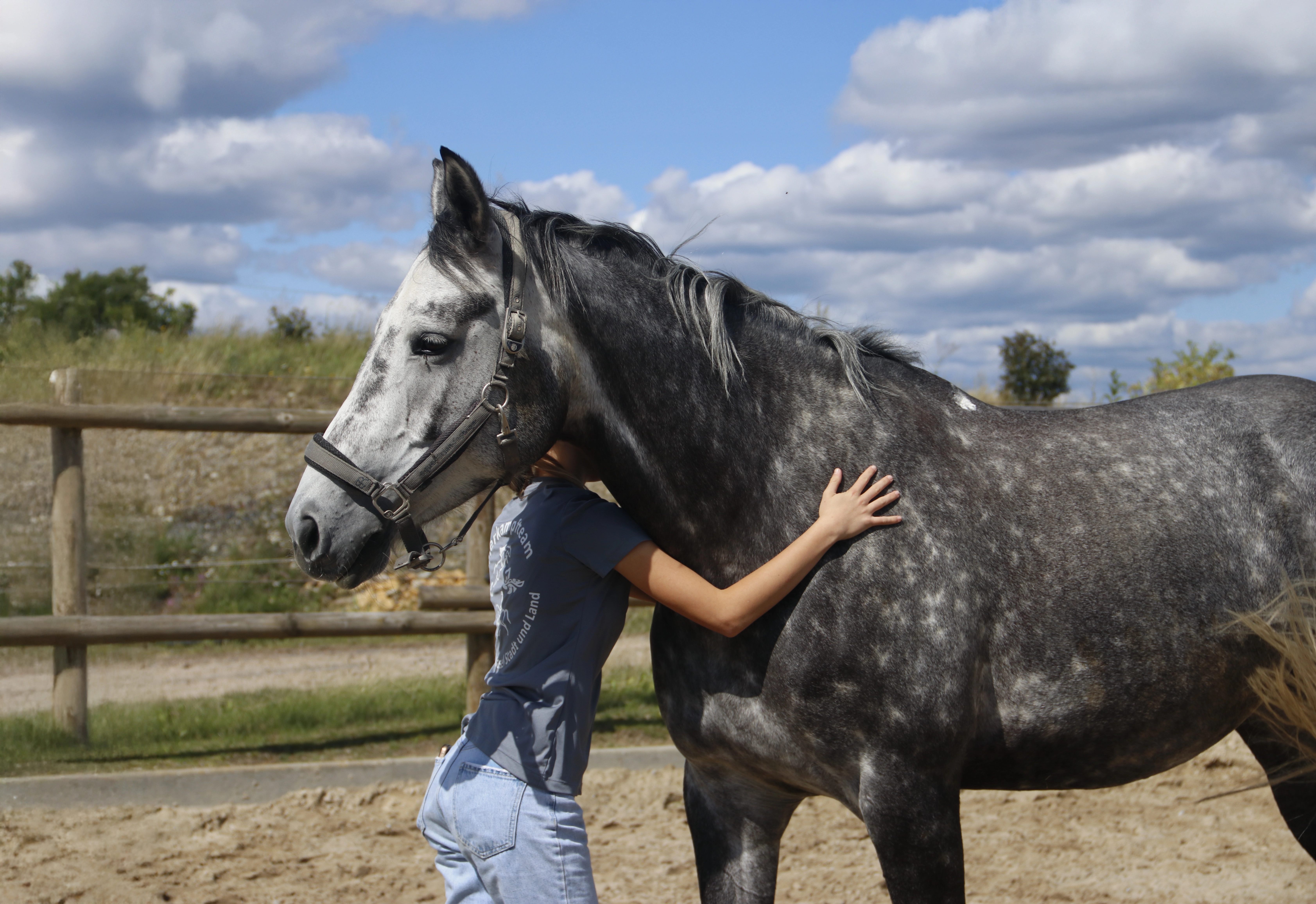 Neue Website des Reitstall Pavel